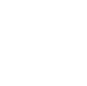 ZyllSoft mark
